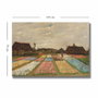 Wallity Lienzo Decorativo de Vincent van Gogh 70 x 100 cm